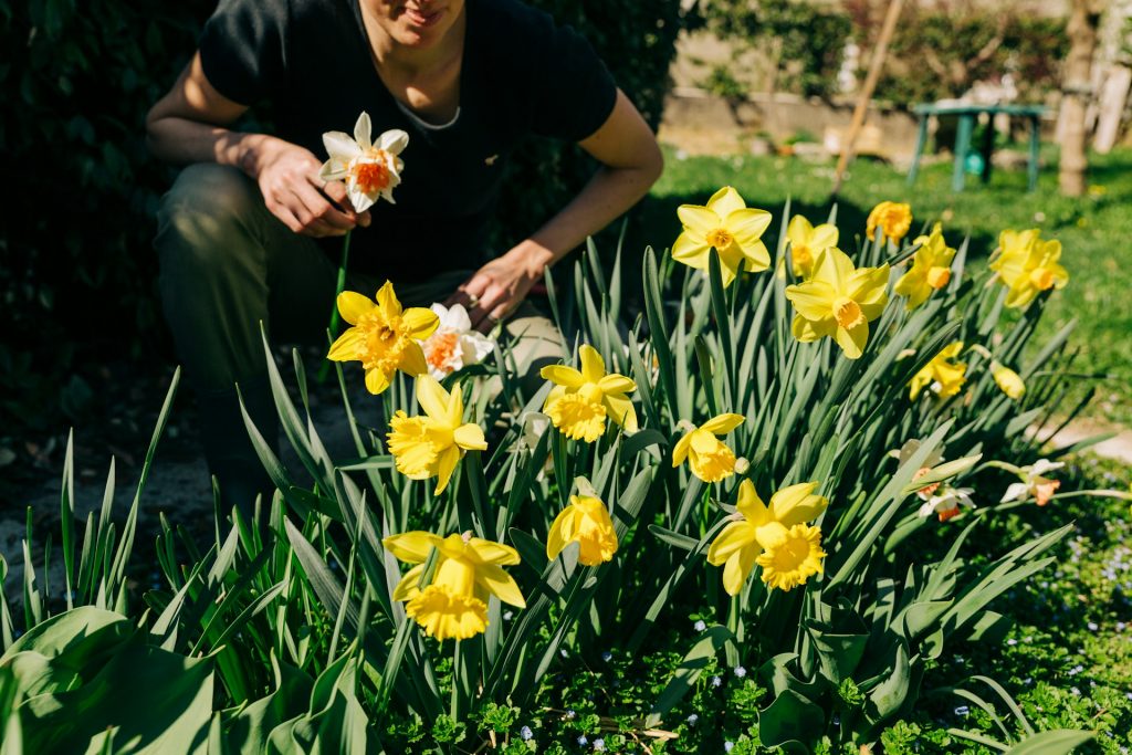 blog 3