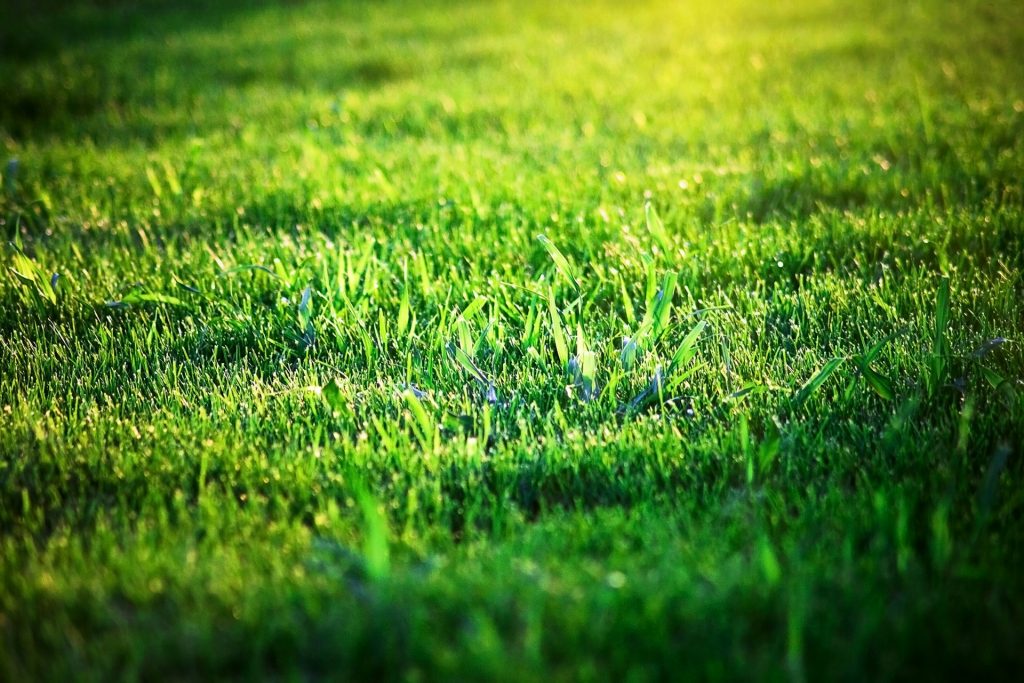 blog 4