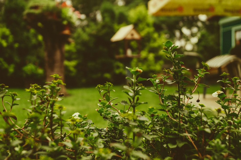 blog 6