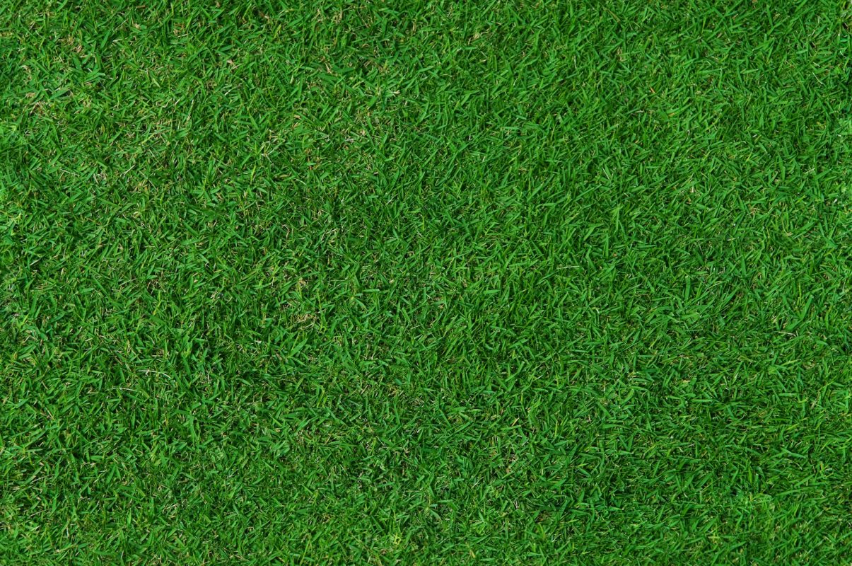 Lawn