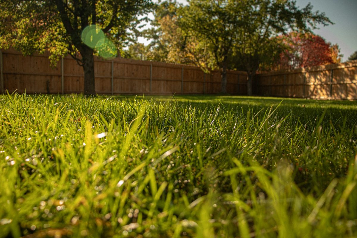 yard