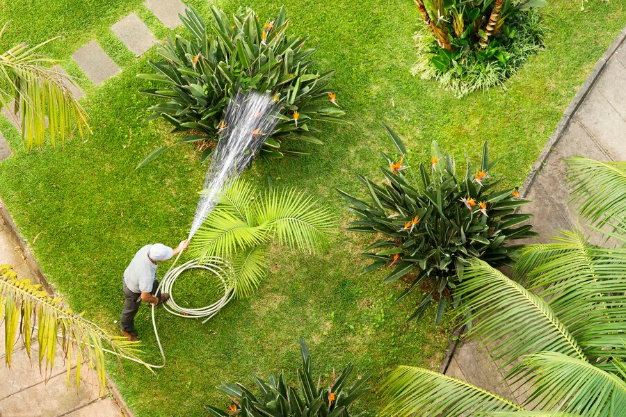 commercial landscape