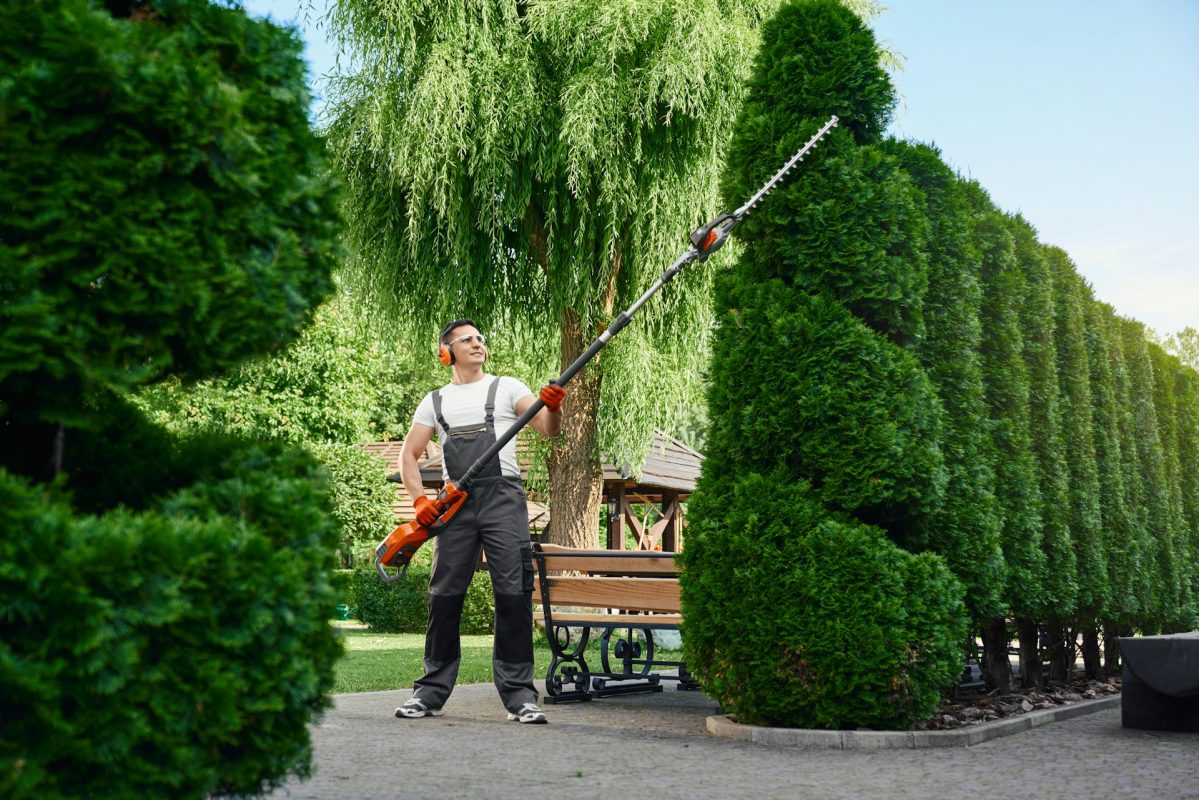 Landscapers