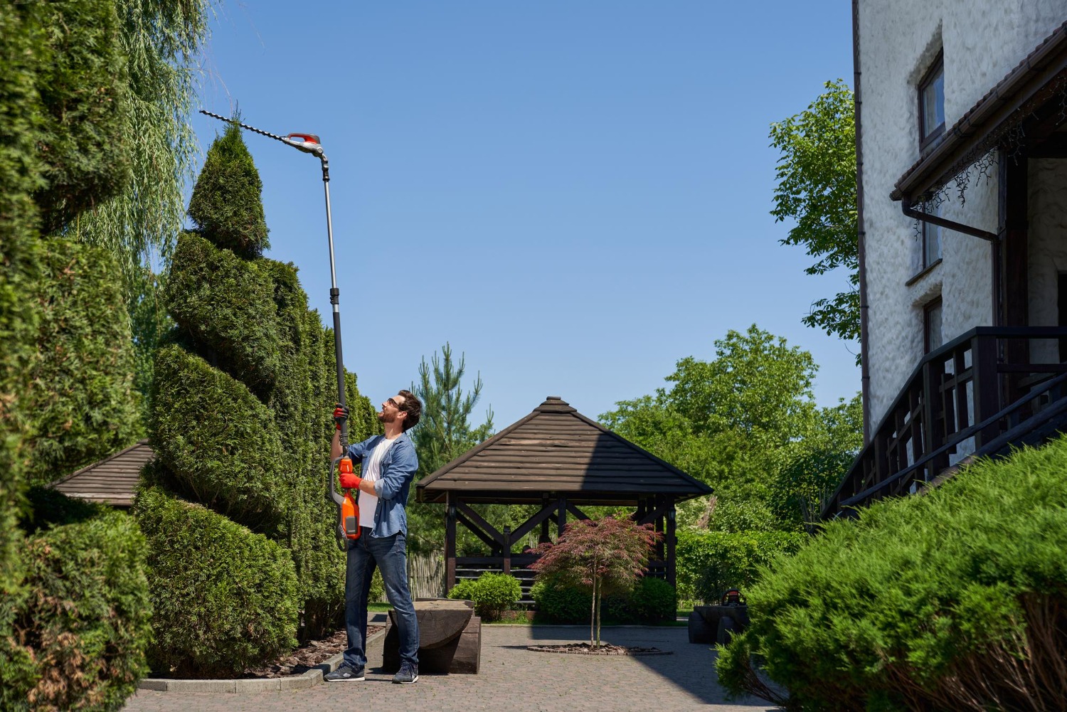 Commercial Landscape Maintenance