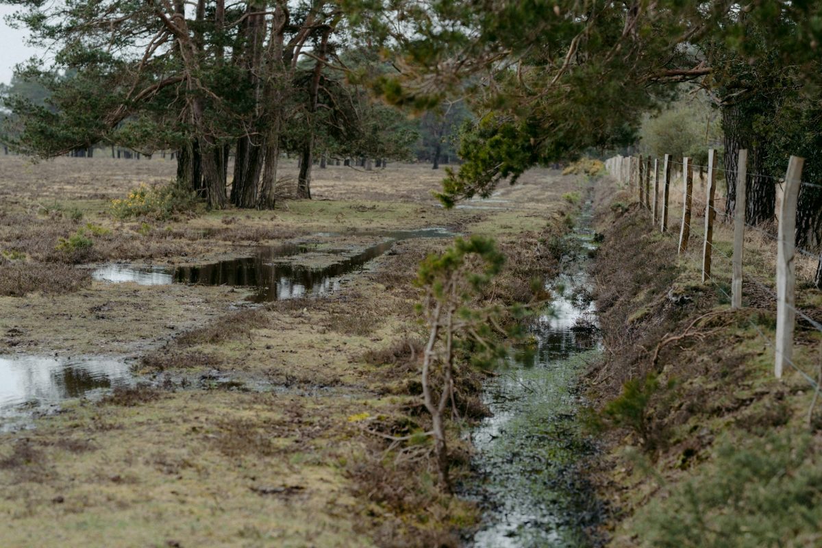 Drainage