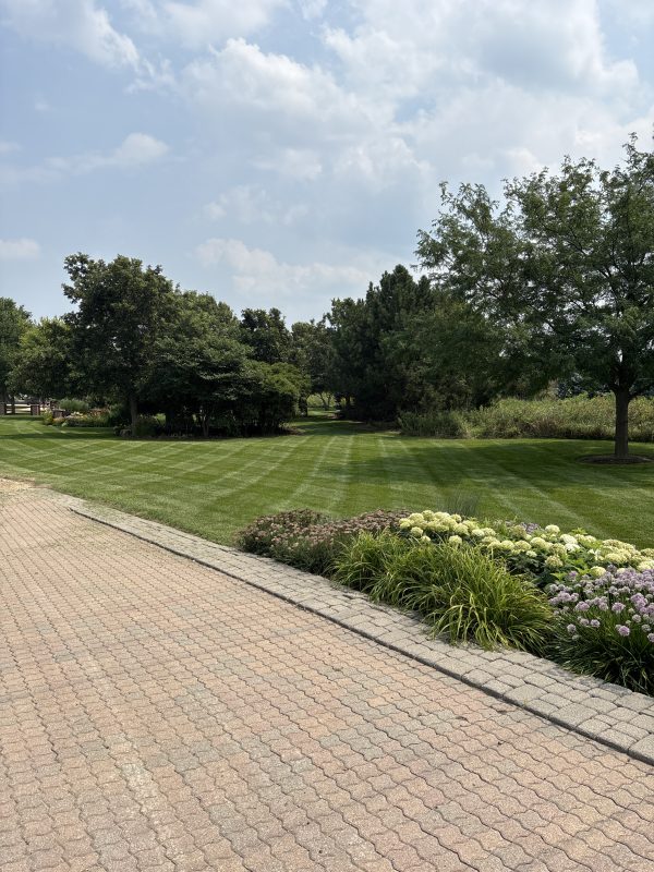 IMG 0547 (2)