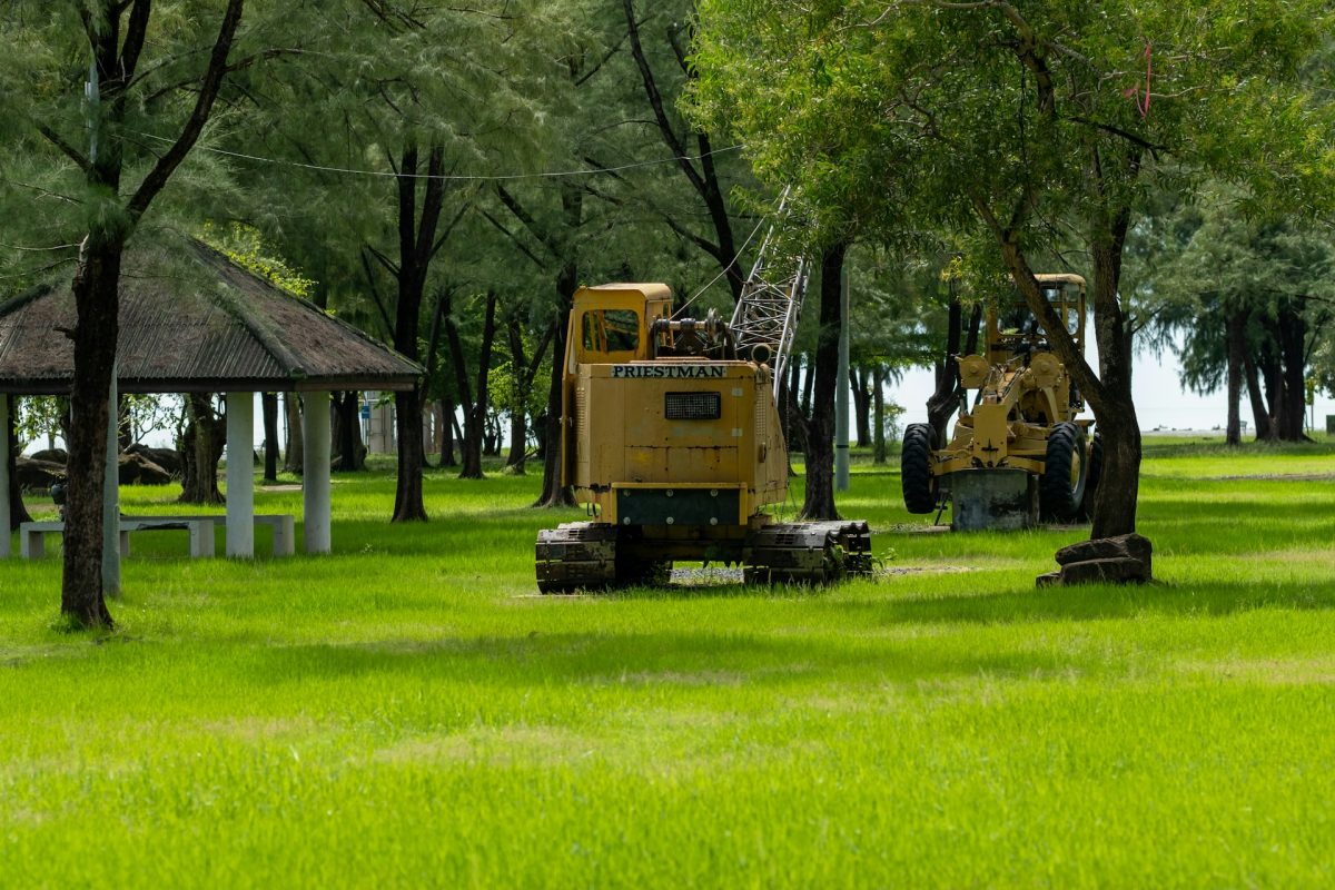 Commercial Landscape Maintenance